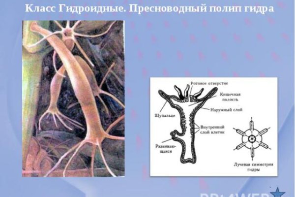 Кракен маркетплейс тор